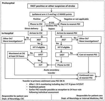 Prehospital stroke mimics in the Stockholm Stroke Triage System